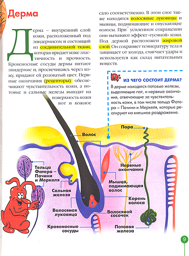 gestureDGRS